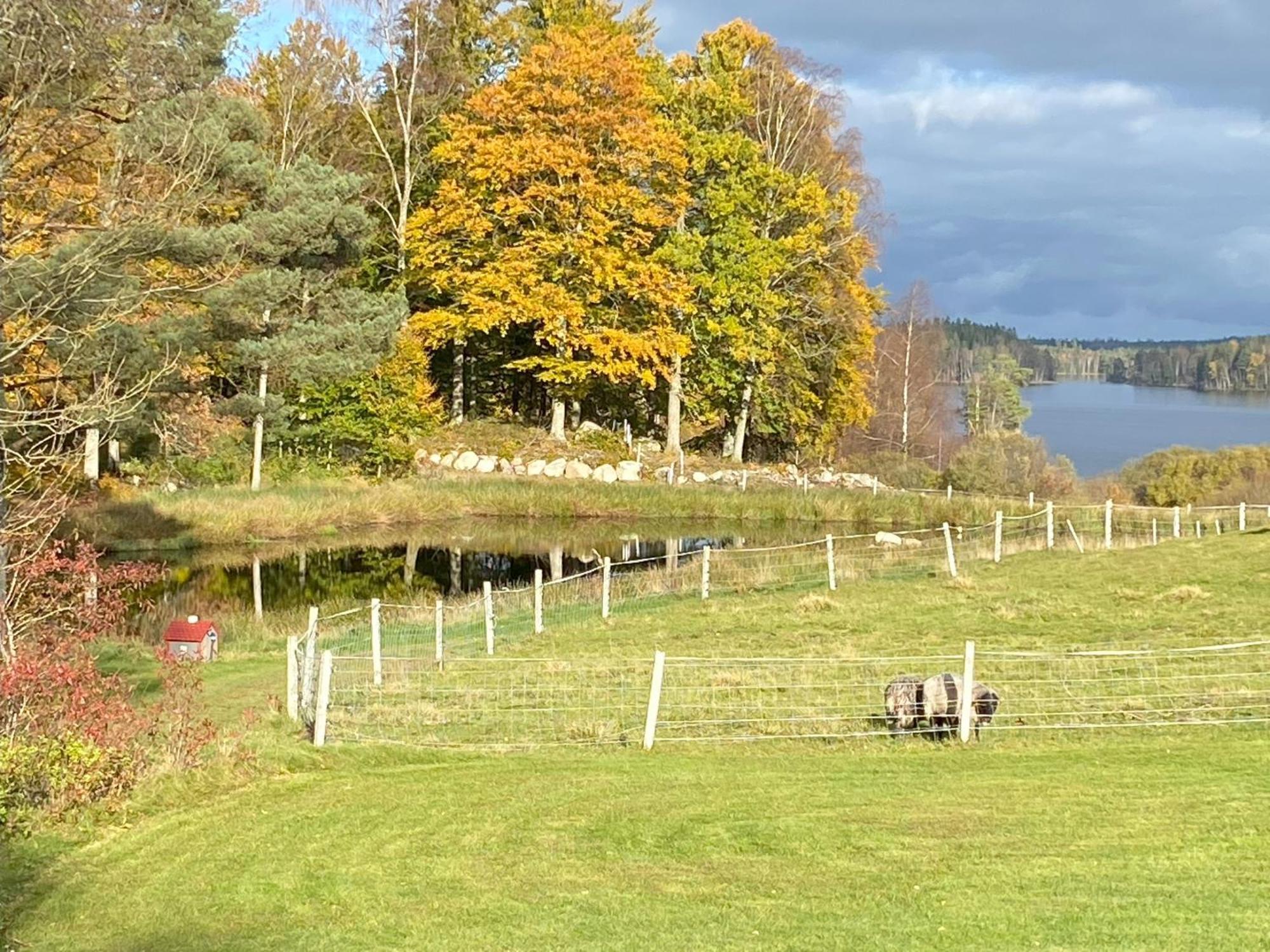 Joarsbo, Stuga 3, Klinten Kalv Eksteriør bilde